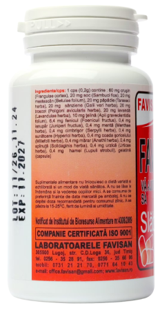 Favisvelt, 70 capsule, Favisan [1]