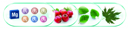 FITOCARDIN FORTE, 30 capsule, Rotta Natura [1]