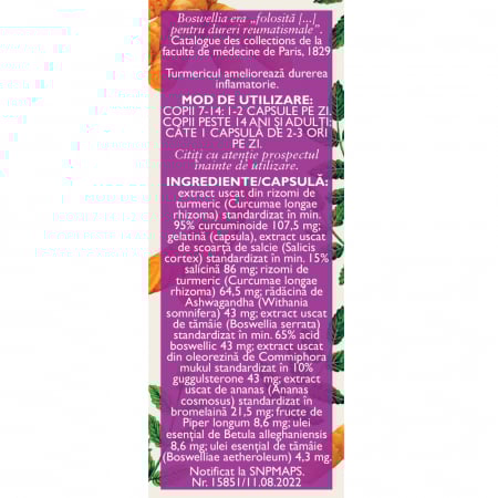 FITODOLOR L99, 30 capsule, Fares [1]
