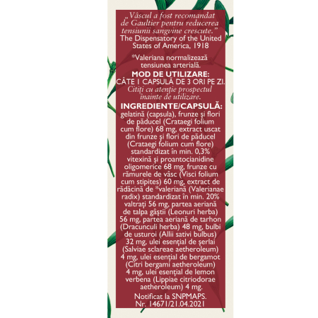 Fitotensin Forte, C47, 63 capsule, Fares [1]