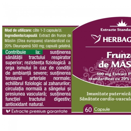 FRUNZE DE MASLIN 500mg, 60 capsule Herbagetica la Nana Plafar [1]