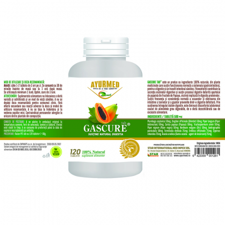 GASCURE, Ayurmed antiacid nana plafar [1]