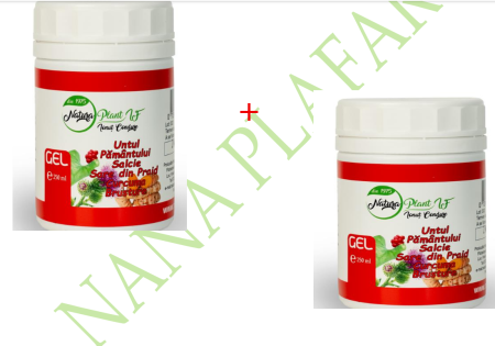 GEL Untul Pamantului, Salcie, Sare din Praid, Curcuma, Brusture, 250 ml - NATURA PLANT la nana plafar [1]
