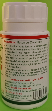GHIMBIR Extract Forte 280mg, Health Nutrition [3]