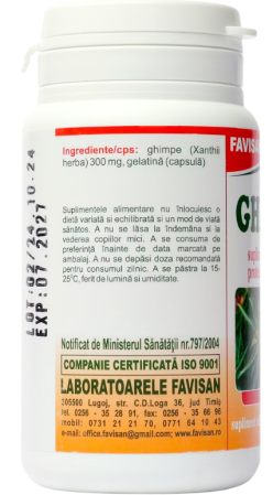 Ghimpe, 40 capsule, Favisan [1]