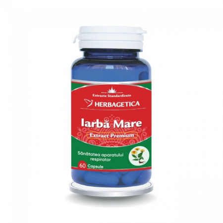 infectii tract respirator superior - IARBA MARE 200mg, 60 Capsule,  Herbagetica