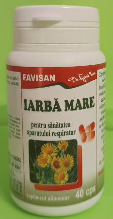 IARBA MARE, 40 capsule, Favisan