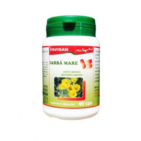 IARBA MARE, 40 capsule, Favisan
