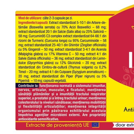 INFLANAT Curcumin95 Herbagetica la nana plafar [1]
