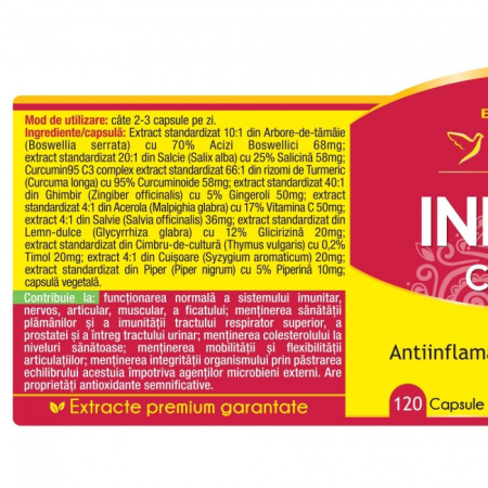 INFLANAT Curcumin95 Herbagetica la nana plafar [1]
