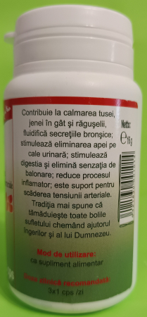 Isop, 40 capsule, Favisan [1]