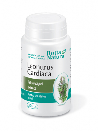 LEONURUS CARDIACA FORTE TALPA GASTEI EXTRACT, 30 capsule, Rotta Natura