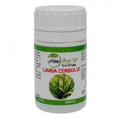 antidiareice - LIMBA CERBULUI, 60 capsule NaturaPlant
