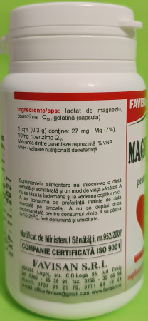 Magneziu + Q10, 40 capsule, Favisan la Nana Plafar [2]