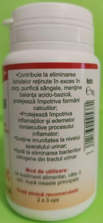 MESTEACAN 300mg, 40 capsule, Favisan [2]