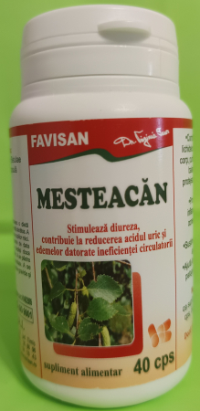 eczeme - MESTEACAN 300mg, 40 capsule, Favisan