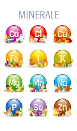 MINERALVIT JUNIOR (copii si adolescenti), 40 capsule, Favisan la Nana Plafar [2]