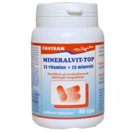 vitamine - Mineralvit Top 40 capsule, FAVISAN