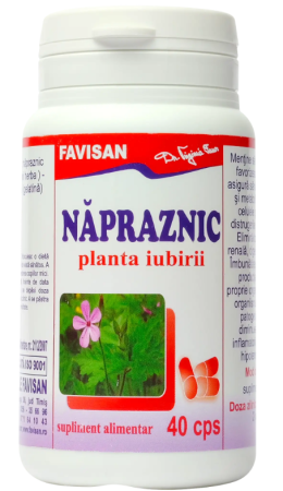 antitumoral adulti - NAPRASNIC, 40 capsule, Favisan