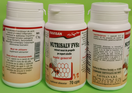 Nutrisalv FVS1, 70 capsule, Favisan  la Nana Plafar [2]