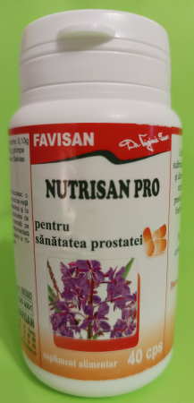 aparatul genital MASCULIN - Nutrisan PRO pentru Sanatatea Prostatei 40cps FAVISAN