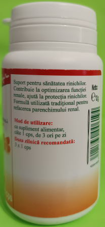 NUTRISAN R2 Splinuta, Sanziene, Urzica moarta, 40 capsule Favisan la Nana Plafar [1]
