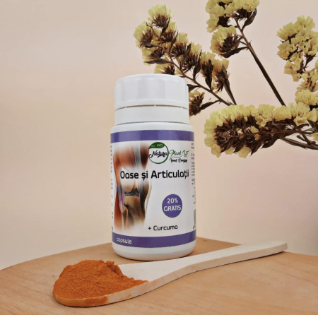 Oase si Articulatii, 72 capsule - NATURA PLANT la Nana Plafar [1]