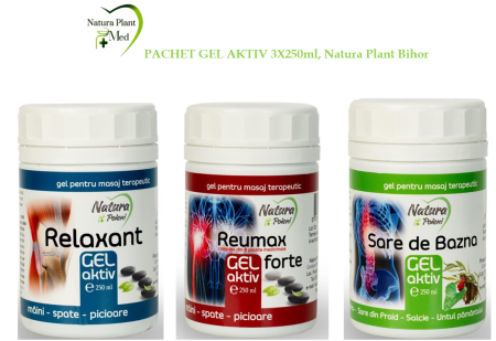 REMEDII UZ EXTERN - PACHET GEL AKTIV: RELAXANT, REUMAX, SARE DE BAZNA, 3X250ml, Natura Plant Bihor la Nana Plafar