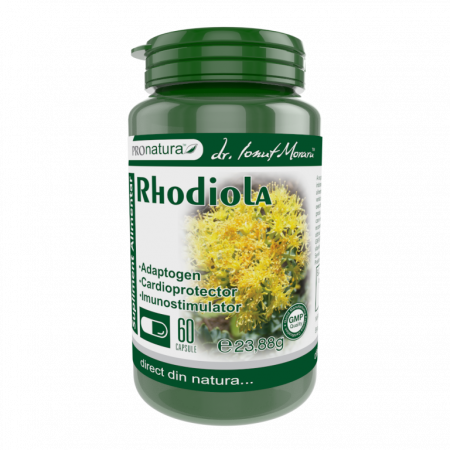RHODIOLA Rosea, 300mg, 60 capsule, ProNatura Medica