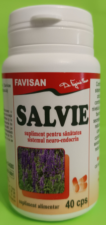 tesut conjuctiv - Salvie, 40 capsule, Favisan la Nana Plafar