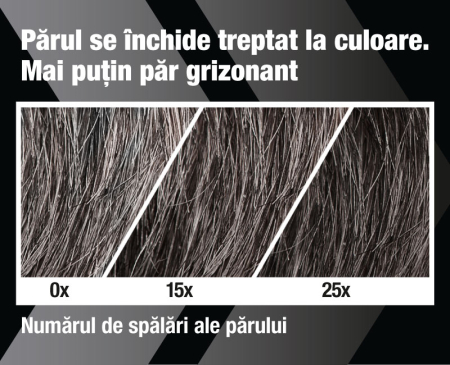 SAMPON BARBATI, Alpecin la Nana Plafar [1]