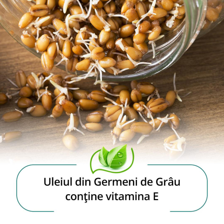 Sapun cu ulei de MIGDALE, 75gr, Himalaya la Nana Plafar [2]