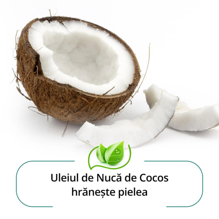 Sapun revigorant cu CASTRAVETE, 75gr Himalaya la Nana Plafar [2]
