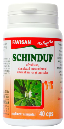 Glicemie - Schinduf, 40 capsule, Favisan