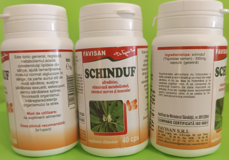 Schinduf, 40 capsule, Favisan [2]