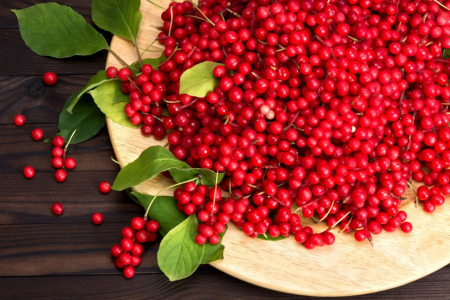SCHISANDRA EXTRACT AdNatura la Nana Plafar [2]