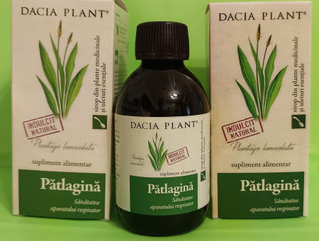 Sirop Patlagina, extract concentrat, fara zahar, 200 ml, Dacia Plant [2]