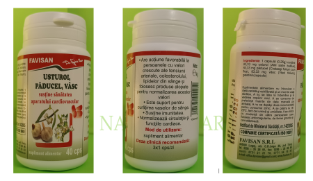 Usturoi paducel vasc 40 capsule, Favisan [1]