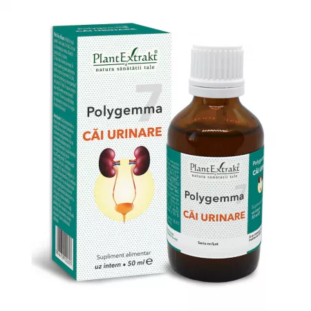 Polygemma 7, Cai Urinare, 50 ml, Plant Extrakt [1]