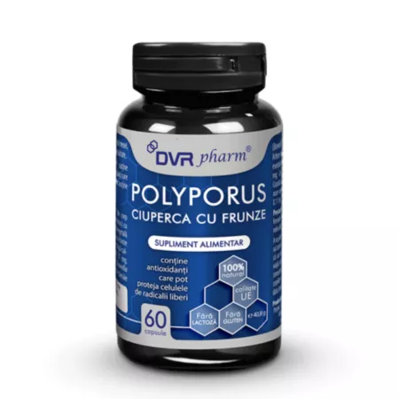 Polyporus Ciuperca cu Frunze, 60 capsule, DVR Pharm [1]
