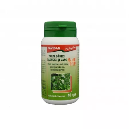 Talpa Gastei cu Vasc si Paducel, 40 capsule, Favisan [1]