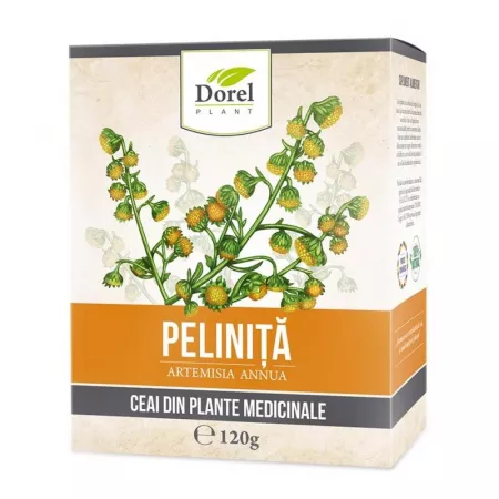 CEAIURI - Ceai de Pelinita, 120 g, Dorel Plant