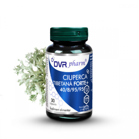 METABOLISM - CIUPERCA TIBETANĂ FORTE + – 30 capsule