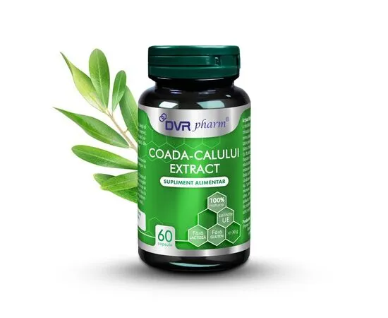 DETOXIFIERE - Coada Calului Extract Pentru Detoxifiere, Rinichi Și Oase 60 Capsule DVR Pharm