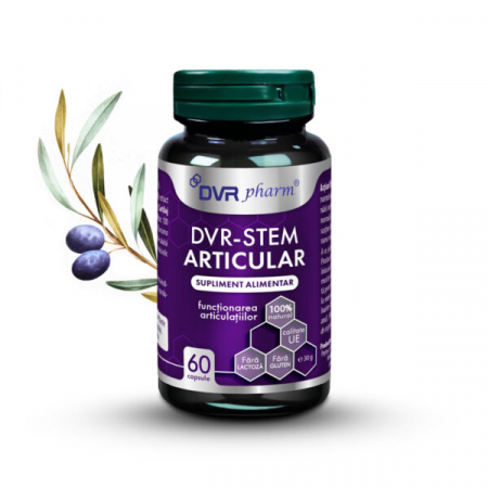 ARTICULATII OASE MUSCHI - DVR-STEM ARTICULAR,60 capsule