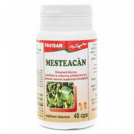 SUPLIMENTE ALIMENTARE - Mesteacan, 40 capsule