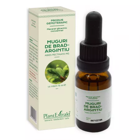 TINCTURI SI ULEIURI - Muguri de Brad Argintiu, 15 ml, Plant Extrakt
