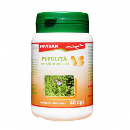 AFECTIUNI PROSTATA - Pufulita, 40 capsule, Favisan