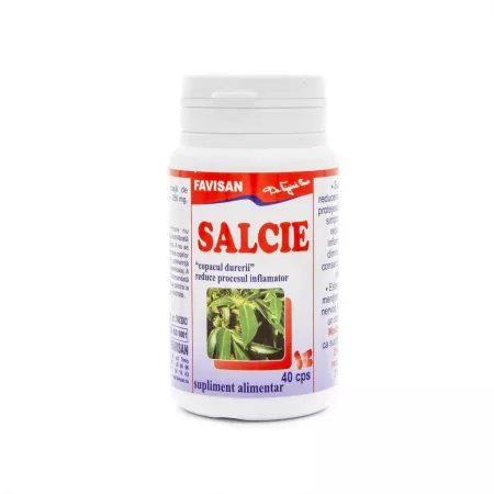 SISTEM NERVOS - Salcie, 40 capsule, Favisan