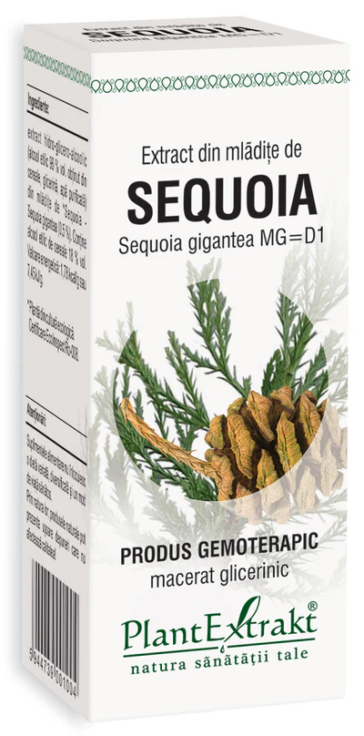 ARTICULATII OASE MUSCHI - SEQUOIA